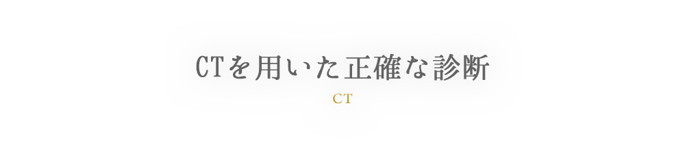 CT CTを用いた正確な診断