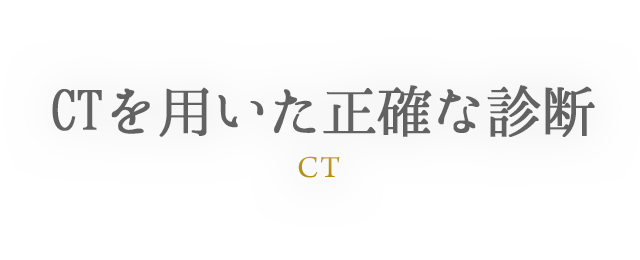 CT CTを用いた正確な診断