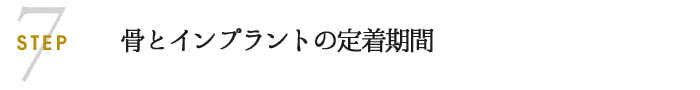 骨とインプラントの定着期間