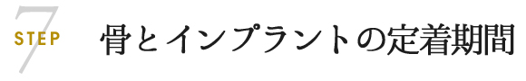 骨とインプラントの定着期間